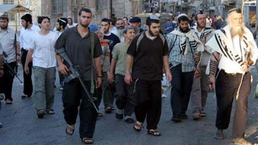 مستوطنون يهاجمون منازل المواطنين في مسافر يطا جنوب الخليل